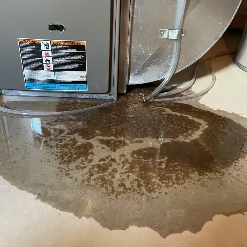 Appliance Leak Cleanup in Green Meadows, OH